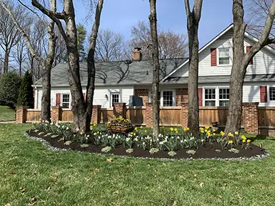 Fall Bulb Planting, Annandale, VA