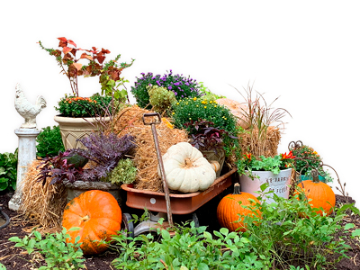 Holiday & Seasonal Displays, Annandale, VA