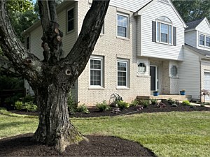 Centreville Part Sun Part Shade Landscape