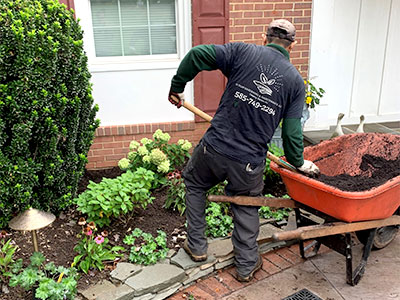 Property Maintenance, Annandale, VA